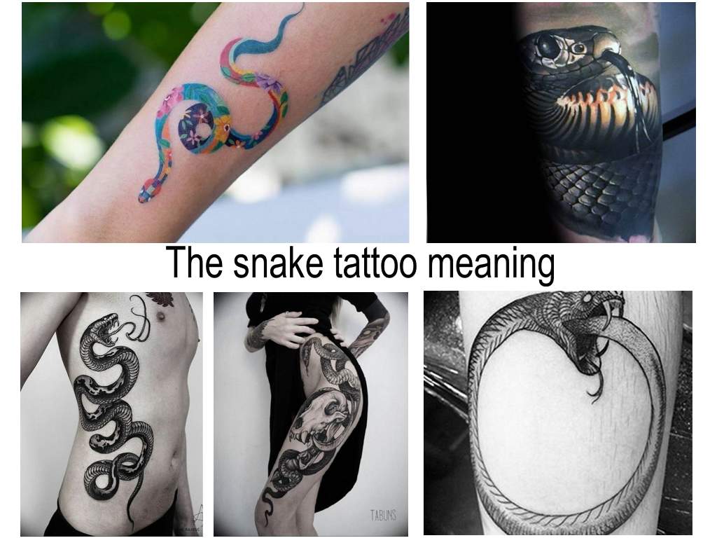 The snake tattoo meaning: sense, features, photo drawings, sketches