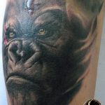 photo example of a gorilla tattoo 28.01.2019 №098 - drawing tattoo gorilla - tattoovalue.net