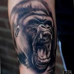 photo example of a gorilla tattoo 28.01.2019 №271 - drawing tattoo gorilla - tattoovalue.net