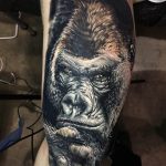 photo example of a gorilla tattoo 28.01.2019 №003 - drawing tattoo gorilla - tattoovalue.net