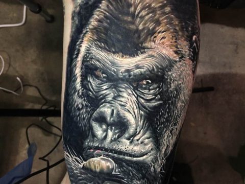photo example of a gorilla tattoo 28.01.2019 №003 - drawing tattoo gorilla - tattoovalue.net