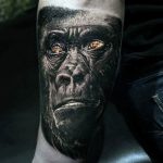 photo example of a gorilla tattoo 28.01.2019 №013 - drawing tattoo gorilla - tattoovalue.net