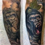 photo example of a gorilla tattoo 28.01.2019 №019 - drawing tattoo gorilla - tattoovalue.net