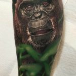 photo example of a gorilla tattoo 28.01.2019 №023 - drawing tattoo gorilla - tattoovalue.net