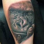 photo example of a gorilla tattoo 28.01.2019 №024 - drawing tattoo gorilla - tattoovalue.net