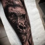 photo example of a gorilla tattoo 28.01.2019 №026 - drawing tattoo gorilla - tattoovalue.net
