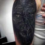 photo example of a gorilla tattoo 28.01.2019 №029 - drawing tattoo gorilla - tattoovalue.net