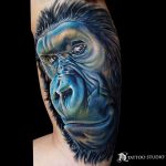 photo example of a gorilla tattoo 28.01.2019 №030 - drawing tattoo gorilla - tattoovalue.net