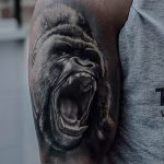 photo example of a gorilla tattoo 28.01.2019 №034 - drawing tattoo gorilla - tattoovalue.net