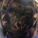 photo example of a gorilla tattoo 28.01.2019 №035 - drawing tattoo gorilla - tattoovalue.net