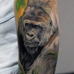 photo example of a gorilla tattoo 28.01.2019 №040 - drawing tattoo gorilla - tattoovalue.net