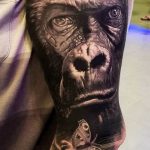 photo example of a gorilla tattoo 28.01.2019 №043 - drawing tattoo gorilla - tattoovalue.net