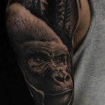 photo example of a gorilla tattoo 28.01.2019 №050 - drawing tattoo gorilla - tattoovalue.net