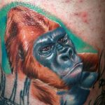 photo example of a gorilla tattoo 28.01.2019 №062 - drawing tattoo gorilla - tattoovalue.net