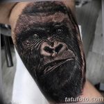 photo example of a gorilla tattoo 28.01.2019 №064 - drawing tattoo gorilla - tattoovalue.net