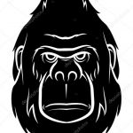 photo example of a gorilla tattoo 28.01.2019 №071 - drawing tattoo gorilla - tattoovalue.net