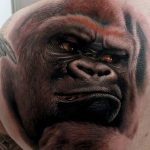 photo example of a gorilla tattoo 28.01.2019 №078 - drawing tattoo gorilla - tattoovalue.net