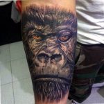 photo example of a gorilla tattoo 28.01.2019 №081 - drawing tattoo gorilla - tattoovalue.net