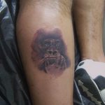 photo example of a gorilla tattoo 28.01.2019 №088 - drawing tattoo gorilla - tattoovalue.net