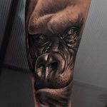 photo example of a gorilla tattoo 28.01.2019 №099 - drawing tattoo gorilla - tattoovalue.net