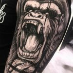 photo example of a gorilla tattoo 28.01.2019 №100 - drawing tattoo gorilla - tattoovalue.net