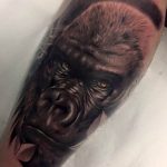 photo example of a gorilla tattoo 28.01.2019 №103 - drawing tattoo gorilla - tattoovalue.net