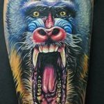 photo example of a gorilla tattoo 28.01.2019 №111 - drawing tattoo gorilla - tattoovalue.net