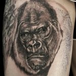photo example of a gorilla tattoo 28.01.2019 №113 - drawing tattoo gorilla - tattoovalue.net