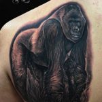 photo example of a gorilla tattoo 28.01.2019 №118 - drawing tattoo gorilla - tattoovalue.net