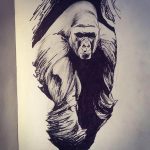photo example of a gorilla tattoo 28.01.2019 №124 - drawing tattoo gorilla - tattoovalue.net