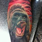 photo example of a gorilla tattoo 28.01.2019 №132 - drawing tattoo gorilla - tattoovalue.net