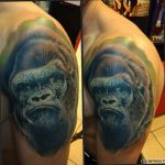 photo example of a gorilla tattoo 28.01.2019 №140 - drawing tattoo gorilla - tattoovalue.net