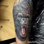 photo example of a gorilla tattoo 28.01.2019 №143 - drawing tattoo gorilla - tattoovalue.net