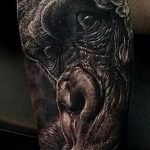photo example of a gorilla tattoo 28.01.2019 №145 - drawing tattoo gorilla - tattoovalue.net