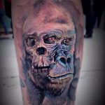 photo example of a gorilla tattoo 28.01.2019 №147 - drawing tattoo gorilla - tattoovalue.net