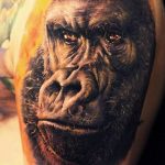 photo example of a gorilla tattoo 28.01.2019 №149 - drawing tattoo gorilla - tattoovalue.net
