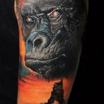 photo example of a gorilla tattoo 28.01.2019 №151 - drawing tattoo gorilla - tattoovalue.net