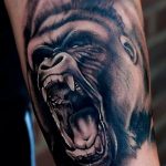 photo example of a gorilla tattoo 28.01.2019 №156 - drawing tattoo gorilla - tattoovalue.net