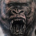 photo example of a gorilla tattoo 28.01.2019 №162 - drawing tattoo gorilla - tattoovalue.net