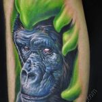 photo example of a gorilla tattoo 28.01.2019 №171 - drawing tattoo gorilla - tattoovalue.net