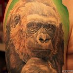 photo example of a gorilla tattoo 28.01.2019 №175 - drawing tattoo gorilla - tattoovalue.net