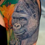 photo example of a gorilla tattoo 28.01.2019 №185 - drawing tattoo gorilla - tattoovalue.net