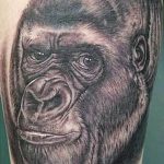 photo example of a gorilla tattoo 28.01.2019 №187 - drawing tattoo gorilla - tattoovalue.net