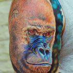 photo example of a gorilla tattoo 28.01.2019 №188 - drawing tattoo gorilla - tattoovalue.net