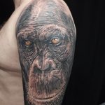 photo example of a gorilla tattoo 28.01.2019 №211 - drawing tattoo gorilla - tattoovalue.net