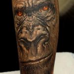 photo example of a gorilla tattoo 28.01.2019 №214 - drawing tattoo gorilla - tattoovalue.net