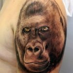 photo example of a gorilla tattoo 28.01.2019 №218 - drawing tattoo gorilla - tattoovalue.net