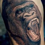 photo example of a gorilla tattoo 28.01.2019 №223 - drawing tattoo gorilla - tattoovalue.net