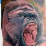 photo example of a gorilla tattoo 28.01.2019 №230 - drawing tattoo gorilla - tattoovalue.net