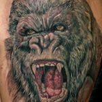 photo example of a gorilla tattoo 28.01.2019 №231 - drawing tattoo gorilla - tattoovalue.net